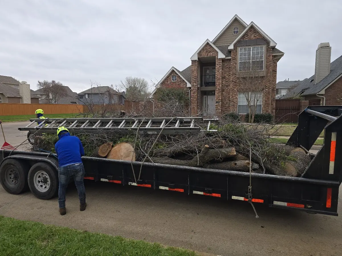 Expert Tree Fertilization with proper safety equipment in Highfalls